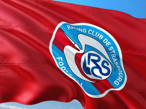 PG电子官网-帕尔梅拉斯连续不败，争冠形势一片大好